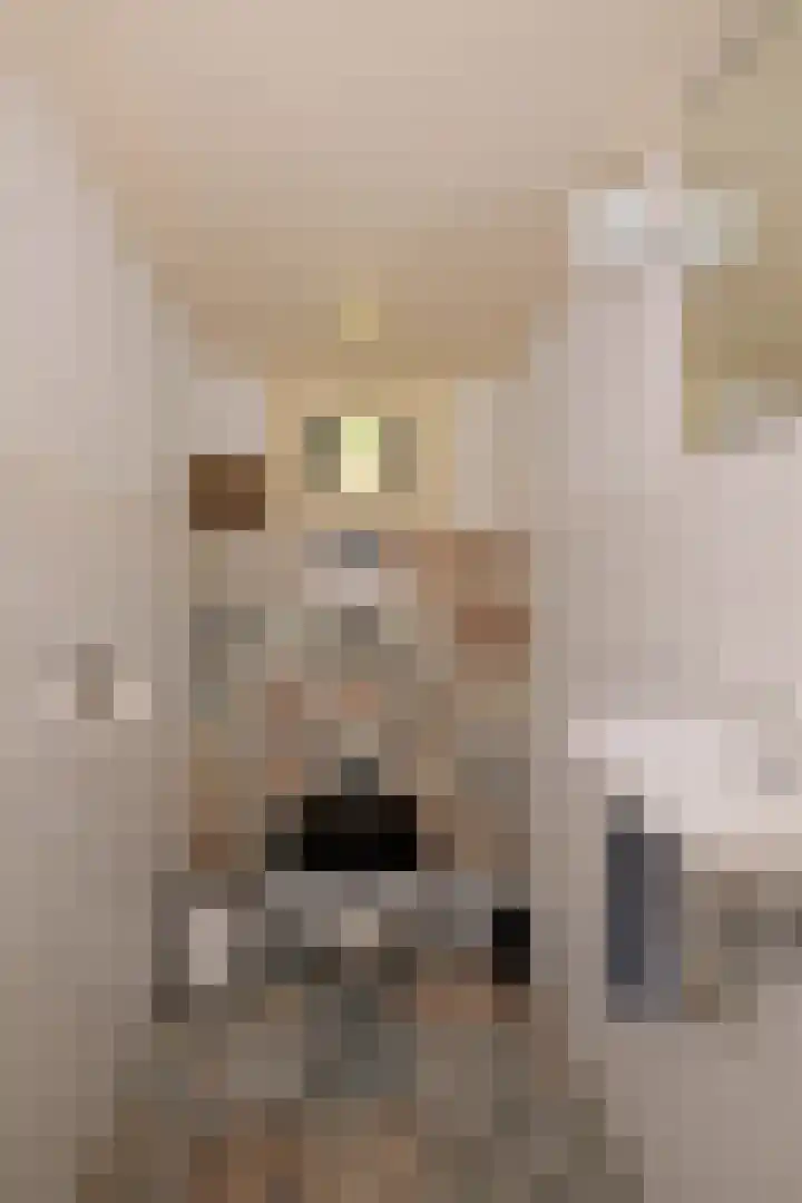 Weerdsweg 1 Epse thumbnail 39