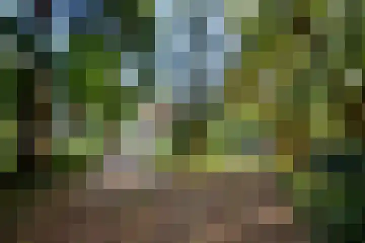 Weerdsweg 1 Epse thumbnail 4