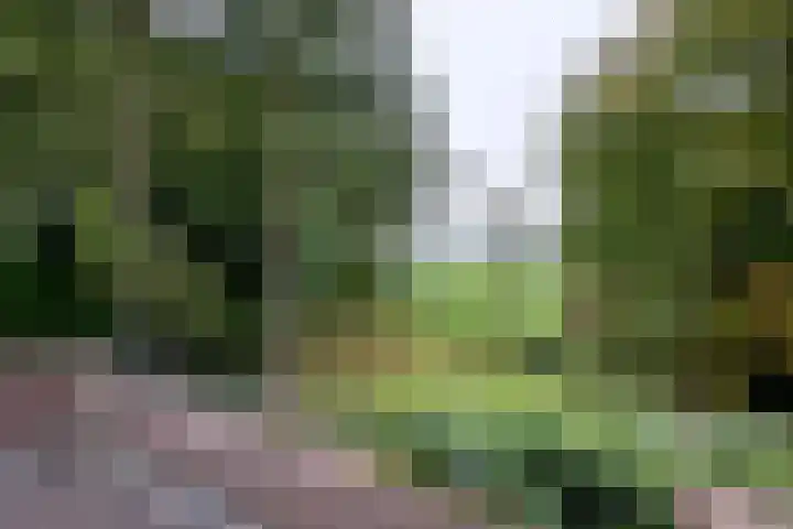 Weerdsweg 1 Epse thumbnail 44