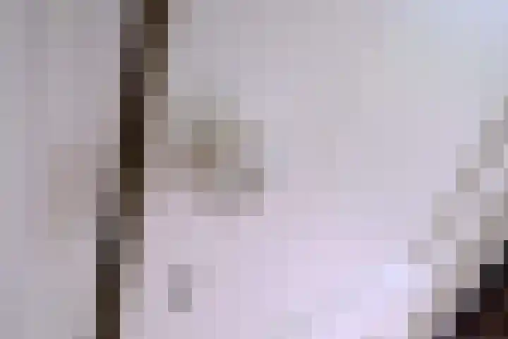 Weerdsweg 1 Epse thumbnail 46