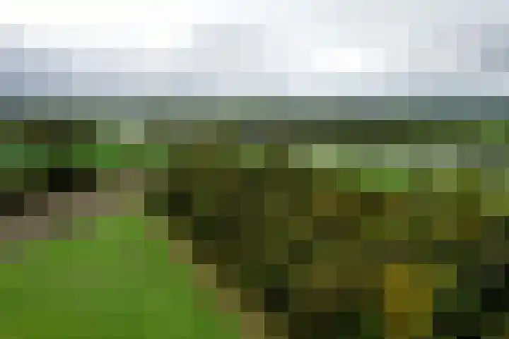 Weerdsweg 1 Epse thumbnail 5