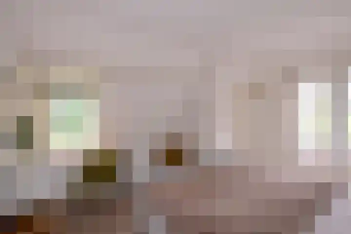 Weerdsweg 1 Epse thumbnail 51