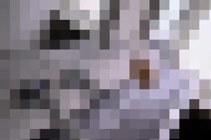 Weerdsweg 1 Epse thumbnail 55