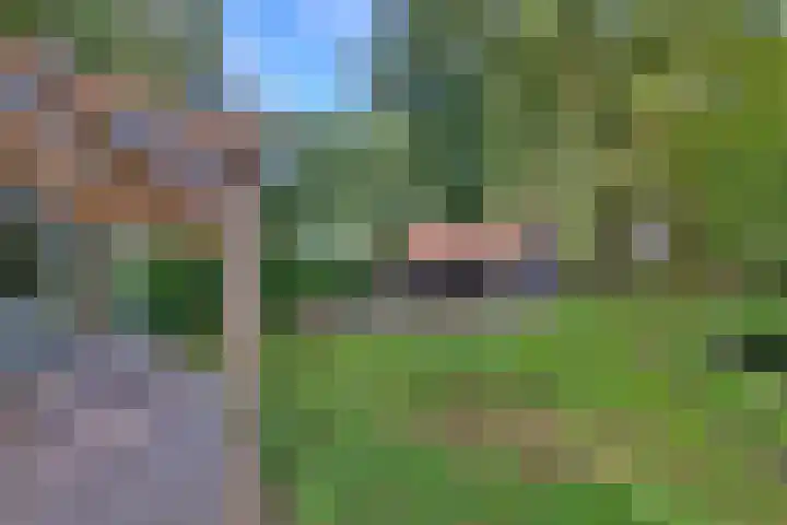Weerdsweg 1 Epse thumbnail 57