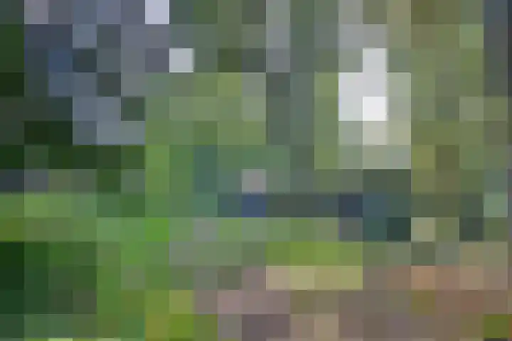 Weerdsweg 1 Epse thumbnail 58