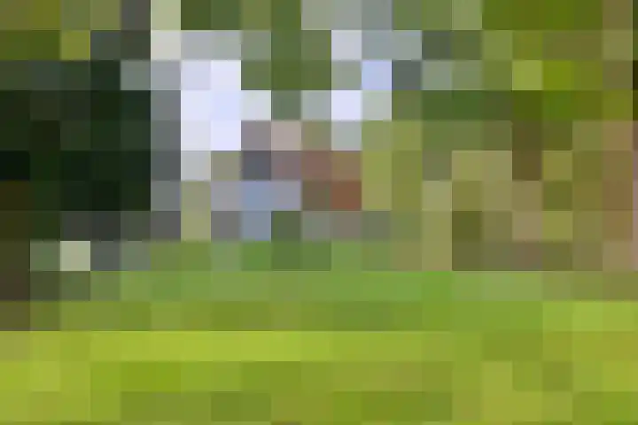Weerdsweg 1 Epse thumbnail 6