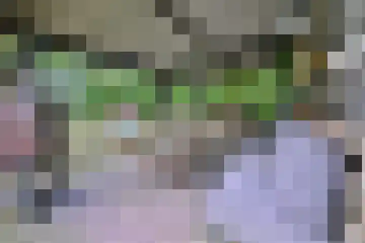 Weerdsweg 1 Epse thumbnail 60