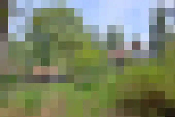 Weerdsweg 1 Epse thumbnail 69