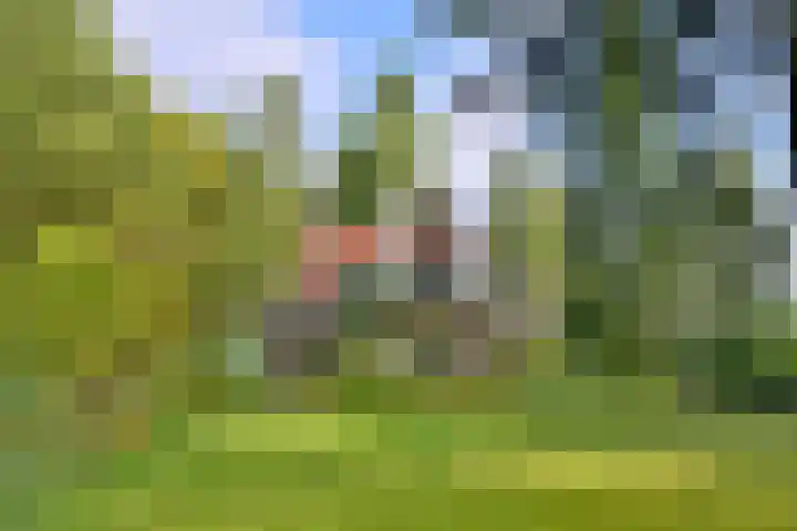Weerdsweg 1 Epse thumbnail 7