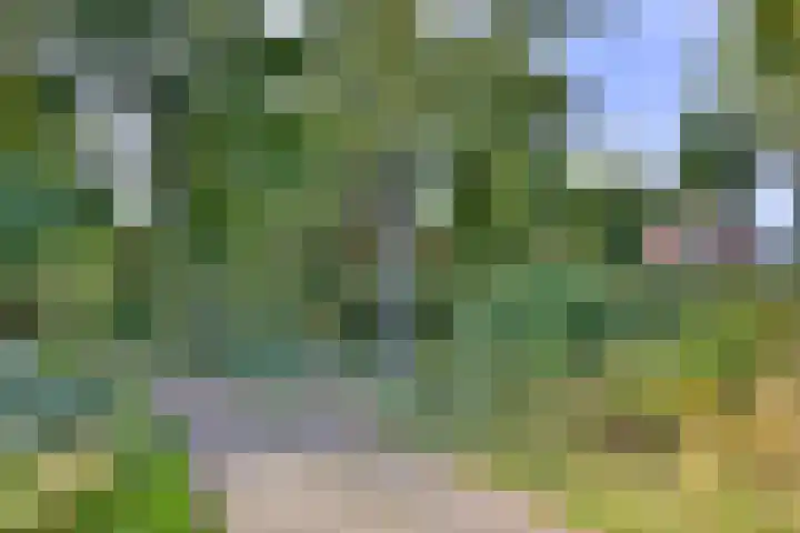 Weerdsweg 1 Epse thumbnail 70