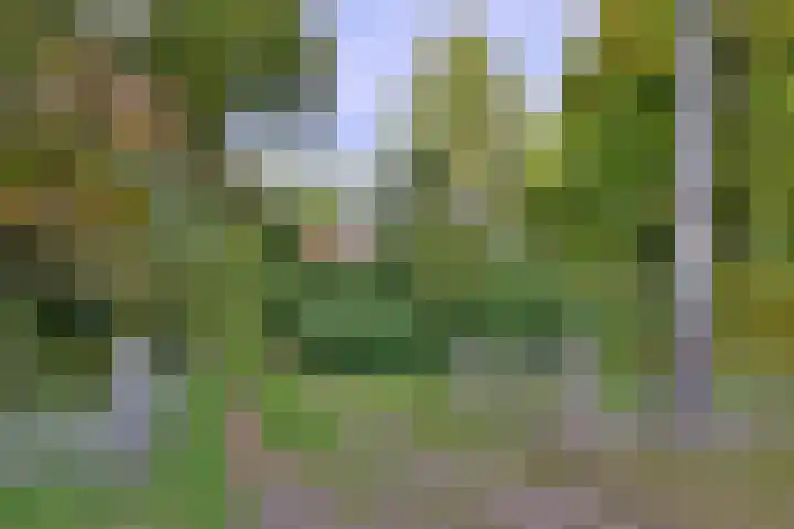 Weerdsweg 1 Epse thumbnail 72