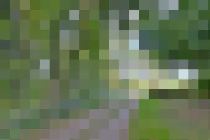 Weerdsweg 1 Epse thumbnail 73