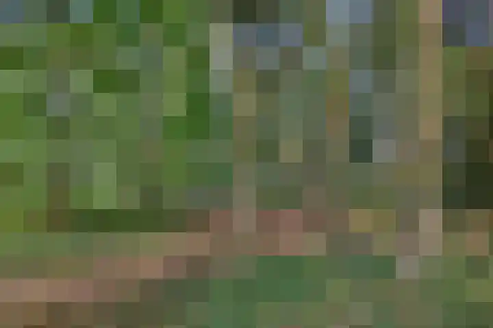Weerdsweg 1 Epse thumbnail 75