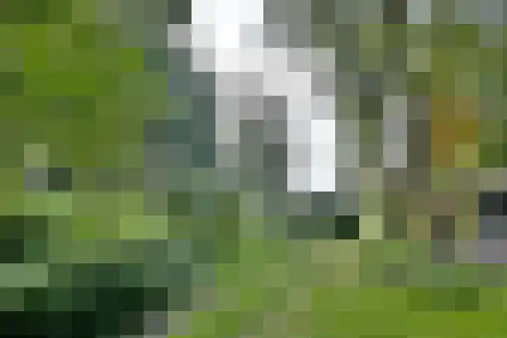 Weerdsweg 1 Epse thumbnail 76