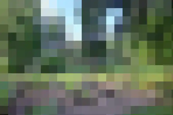 Weerdsweg 1 Epse thumbnail 77