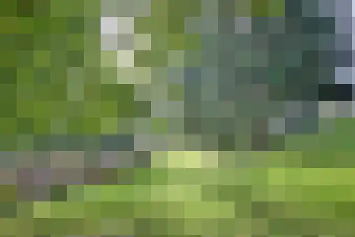 Weerdsweg 1 Epse thumbnail 78