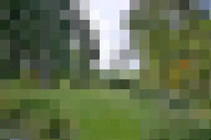 Weerdsweg 1 Epse thumbnail 79