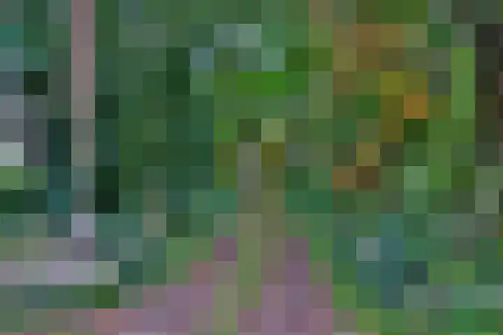 Weerdsweg 1 Epse thumbnail 8