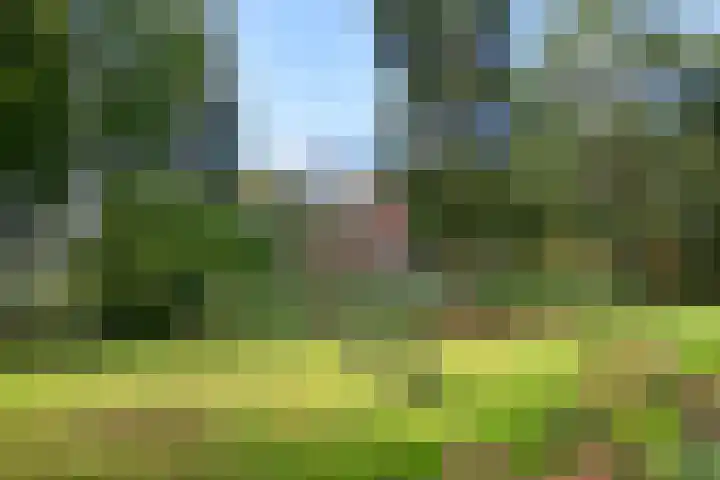 Weerdsweg 1 Epse thumbnail 80