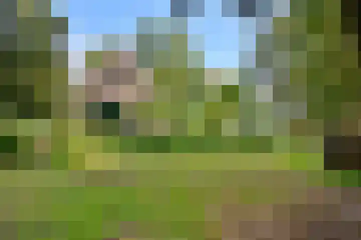 Weerdsweg 1 Epse thumbnail 81