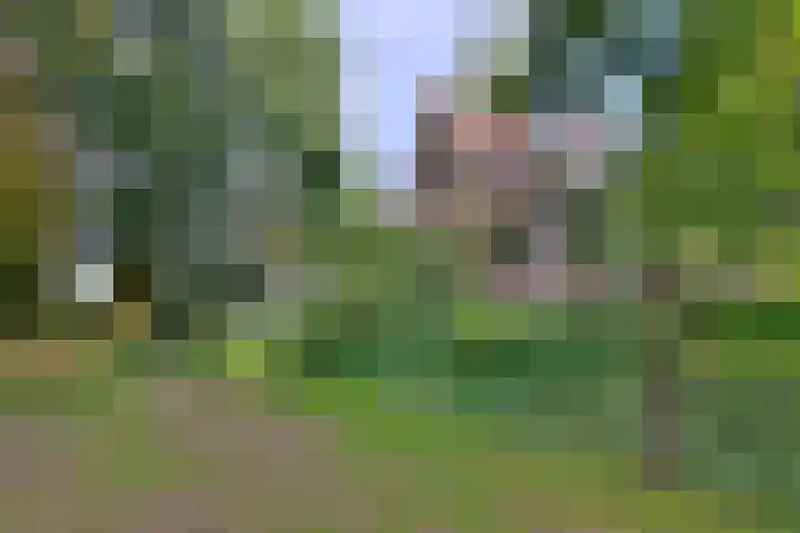 Weerdsweg 1 Epse thumbnail 82