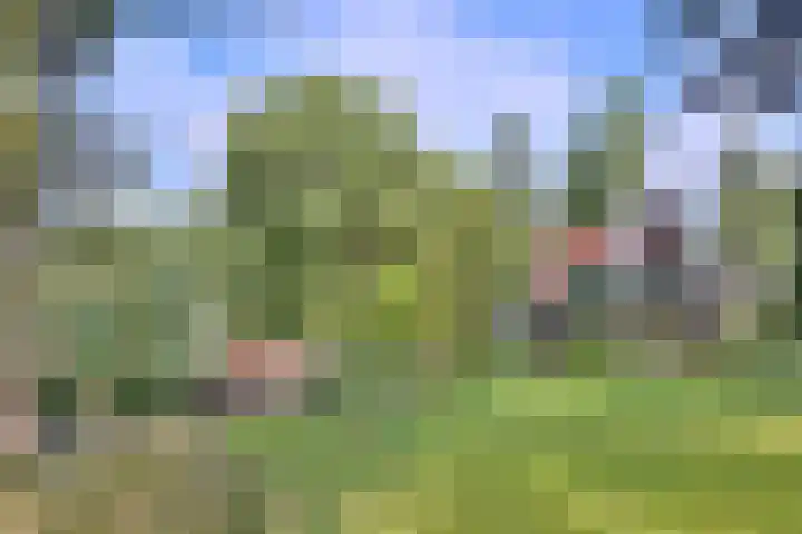 Weerdsweg 1 Epse thumbnail 83