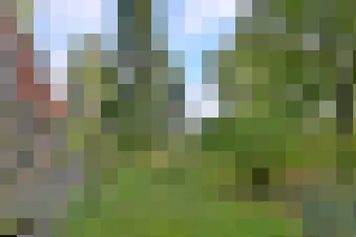 Weerdsweg 1 Epse thumbnail 84