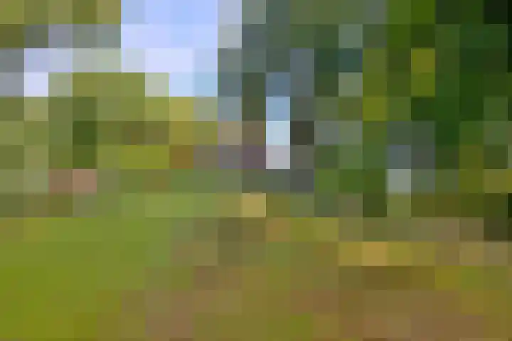 Weerdsweg 1 Epse thumbnail 86
