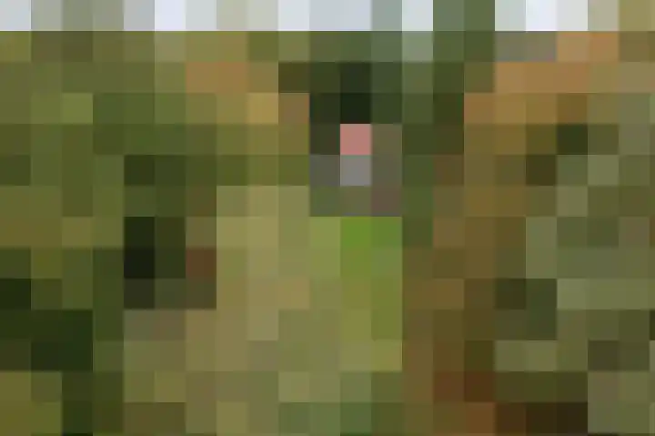 Weerdsweg 1 Epse thumbnail 87