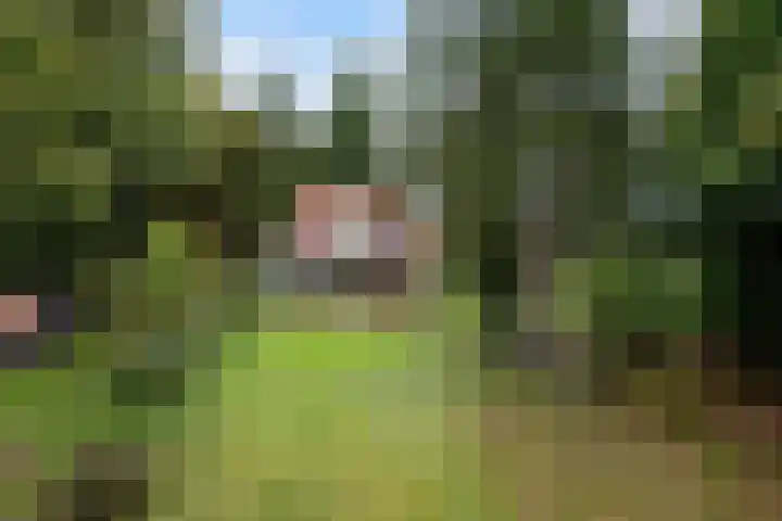 Weerdsweg 1 Epse thumbnail 88