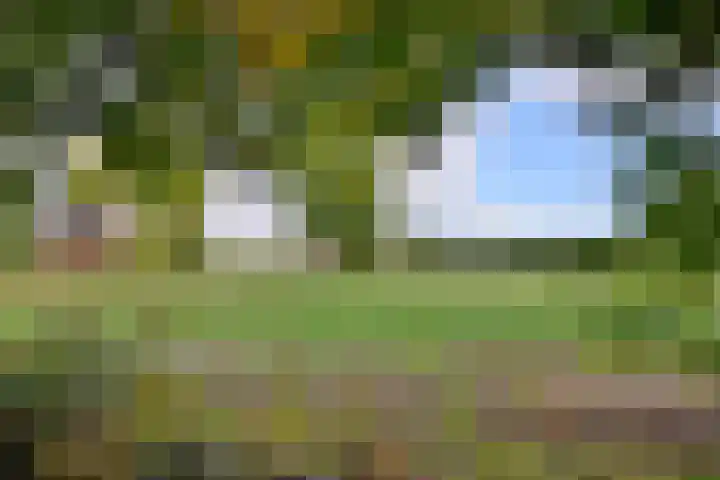 Weerdsweg 1 Epse thumbnail 89