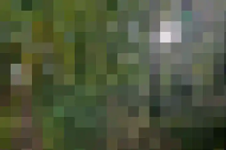 Weerdsweg 1 Epse thumbnail 9