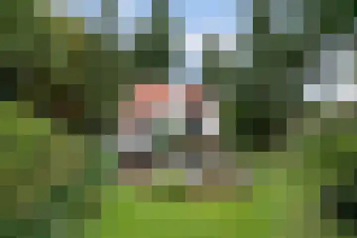 Weerdsweg 1 Epse thumbnail 90