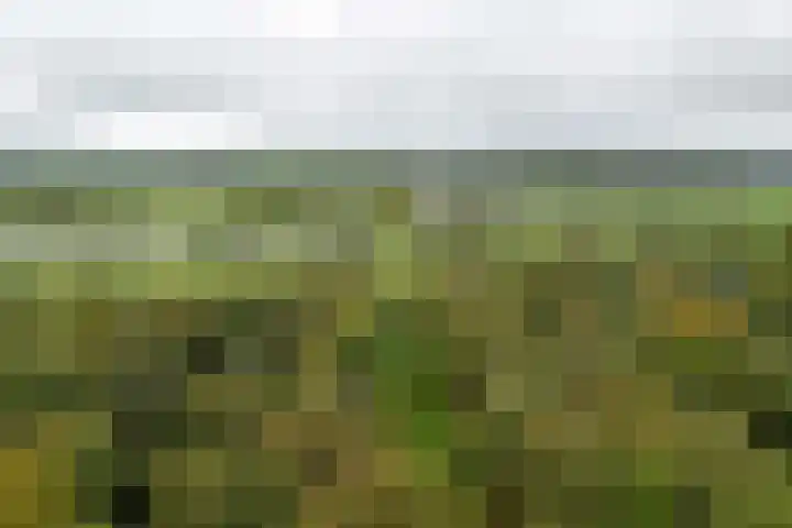 Weerdsweg 1 Epse thumbnail 91