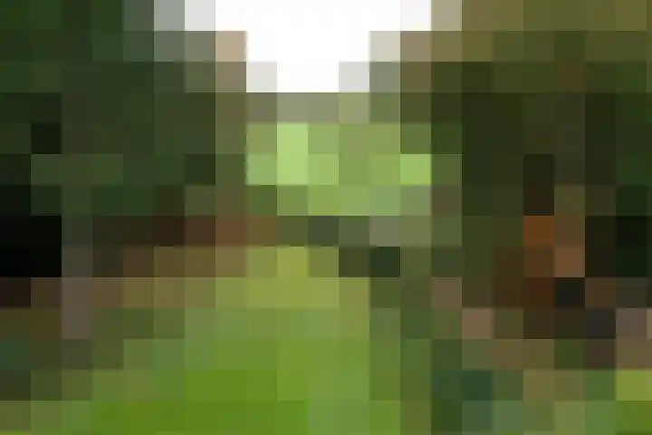 Weerdsweg 1 Epse thumbnail 92