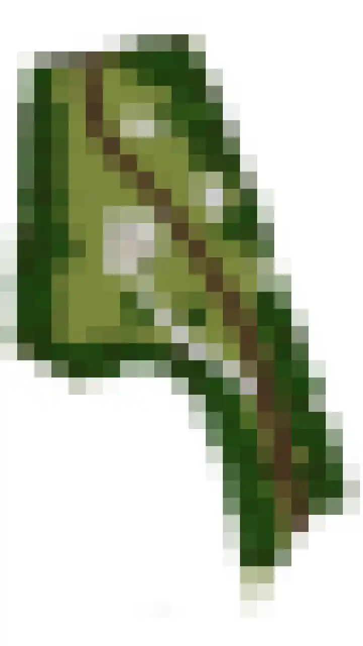 Weerdsweg 1 Epse thumbnail 99