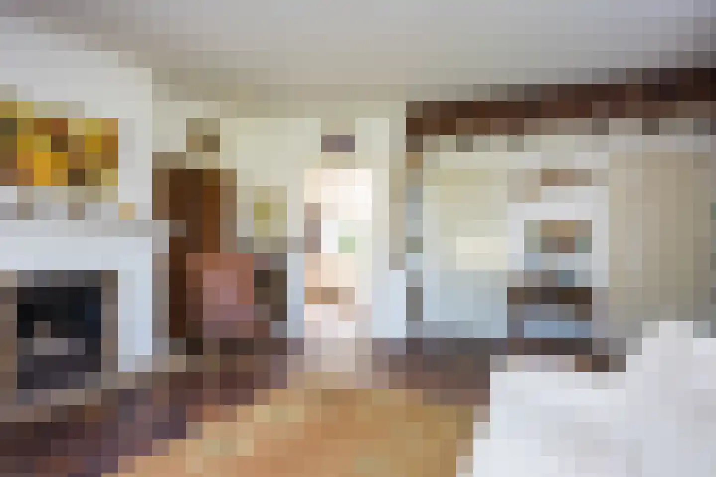Weerdsweg 8 Epse thumbnail 15