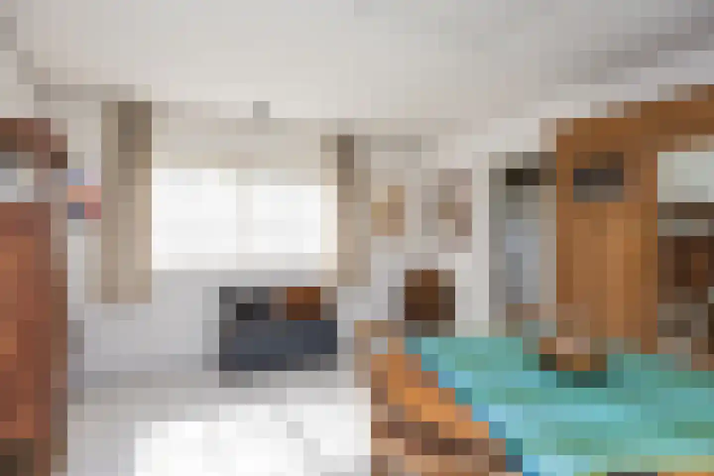 Weerdsweg 8 Epse thumbnail 19