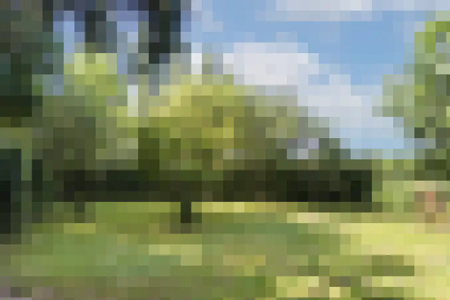 Weerdsweg 8 Epse thumbnail 33