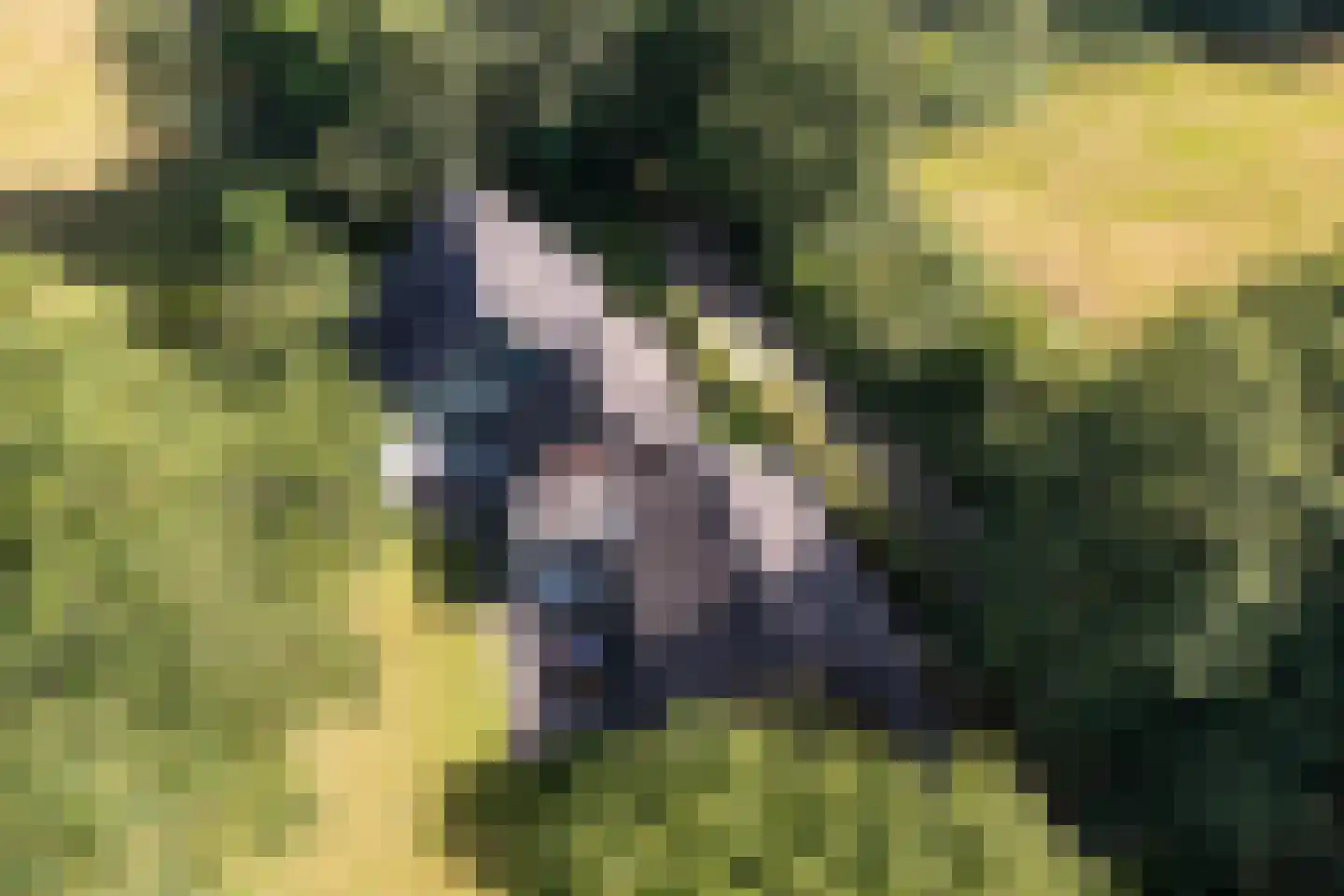 Weerdsweg 8 Epse thumbnail 35