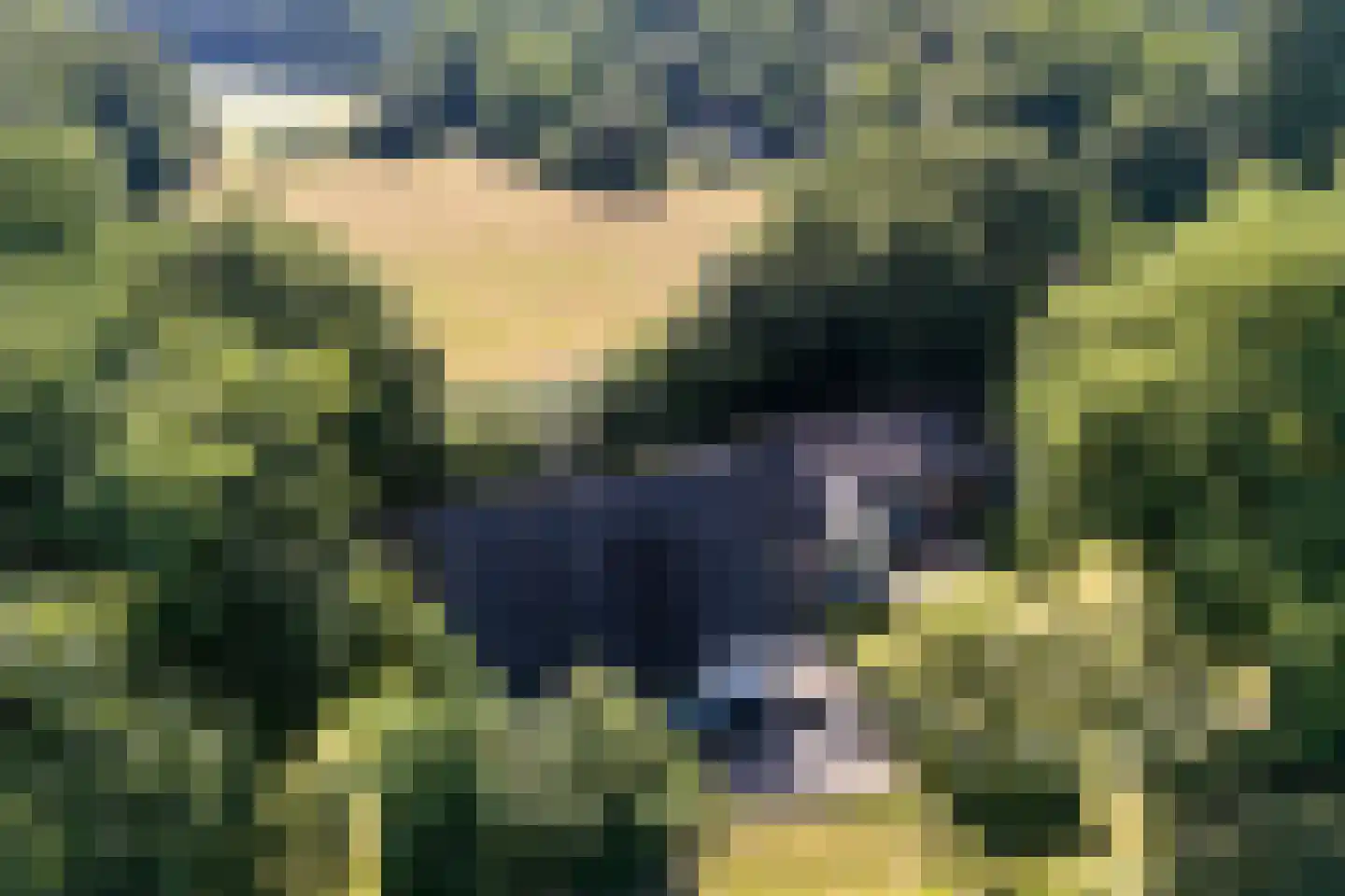 Weerdsweg 8 Epse thumbnail 36