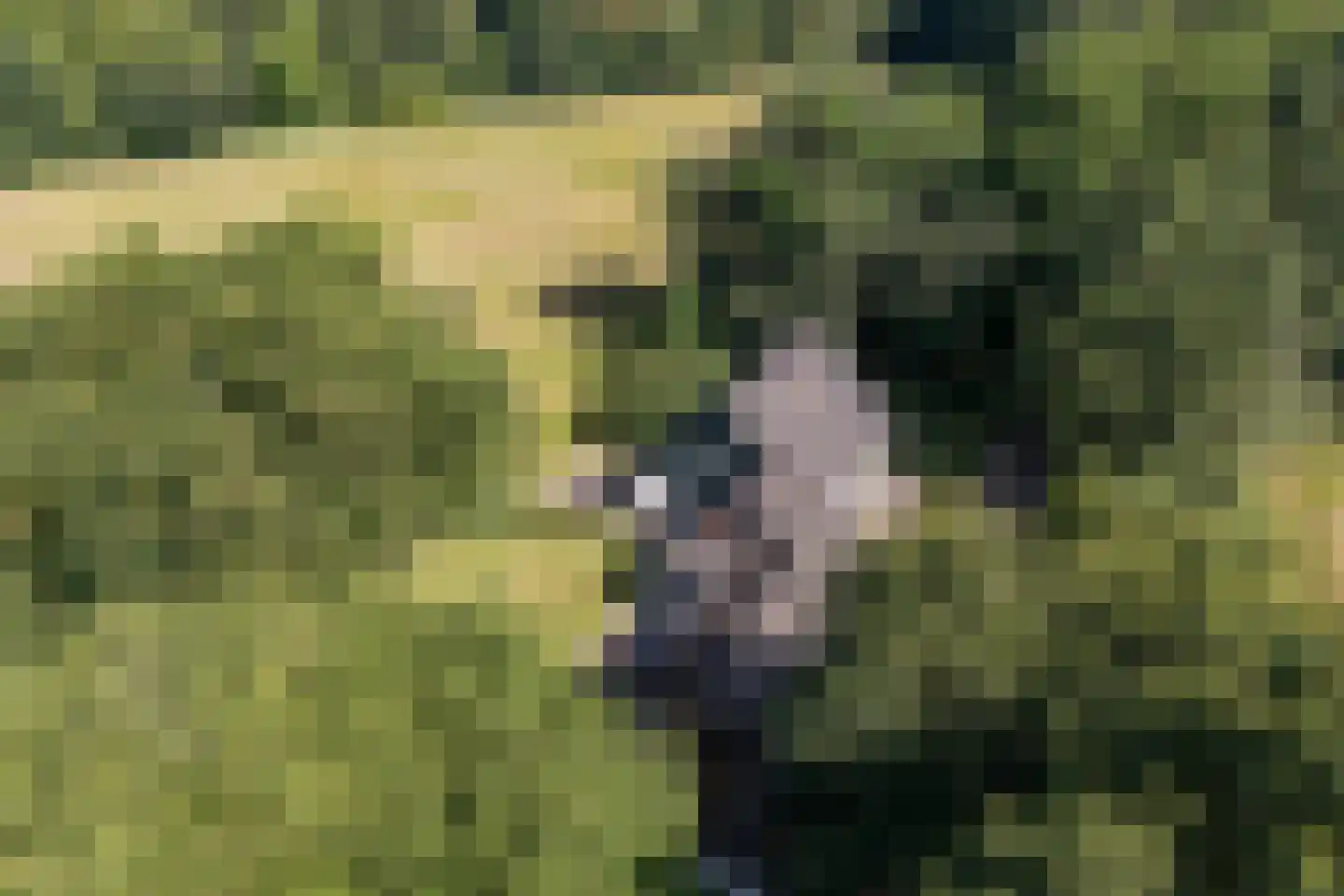 Weerdsweg 8 Epse thumbnail 37