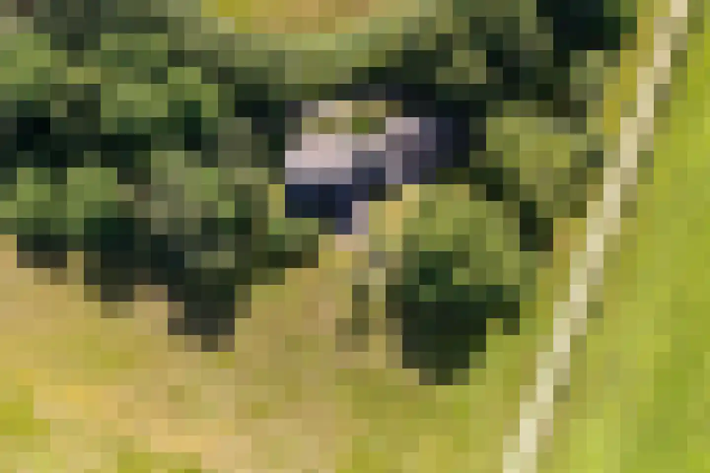 Weerdsweg 8 Epse thumbnail 38