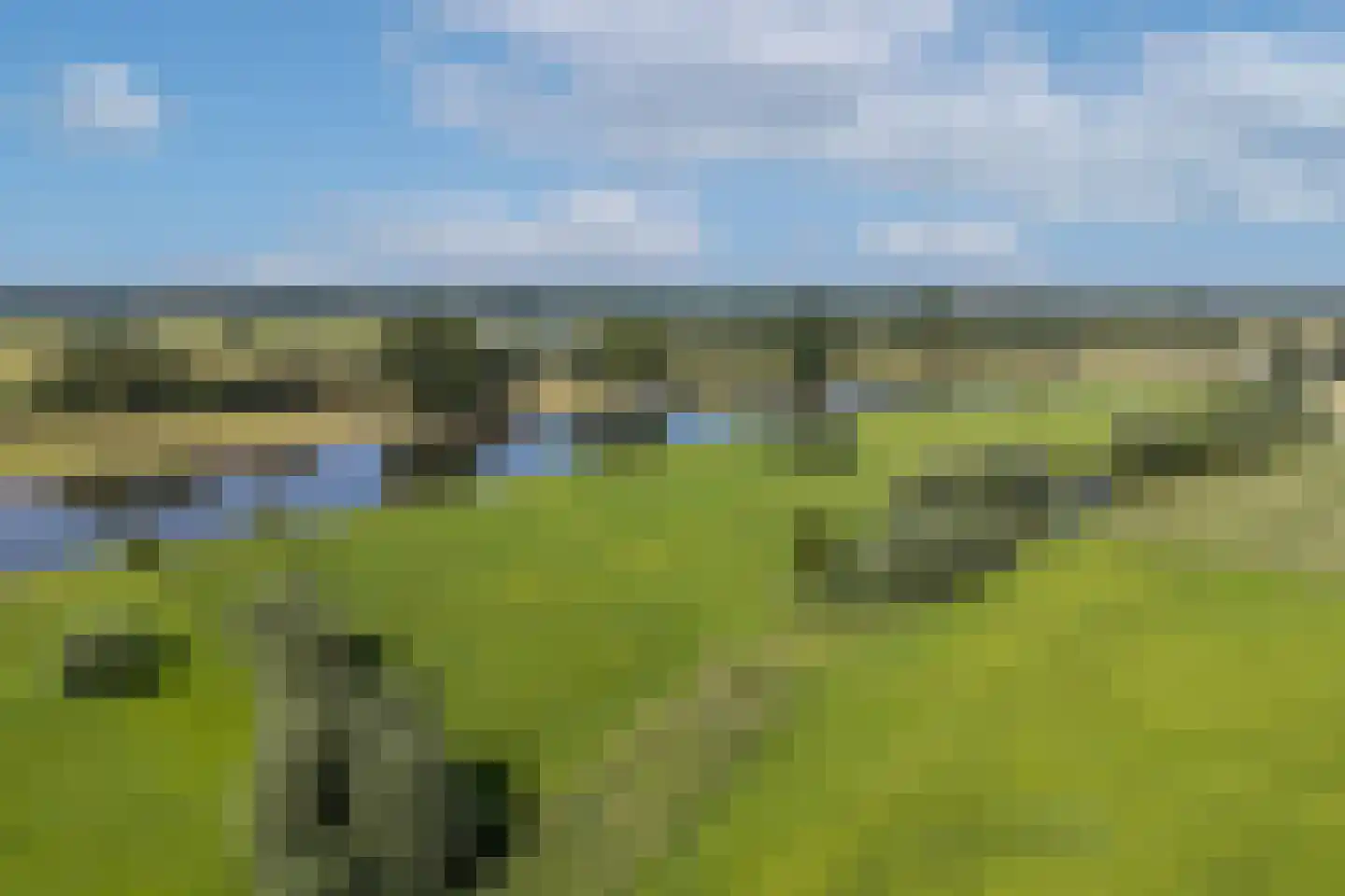 Weerdsweg 8 Epse thumbnail 39