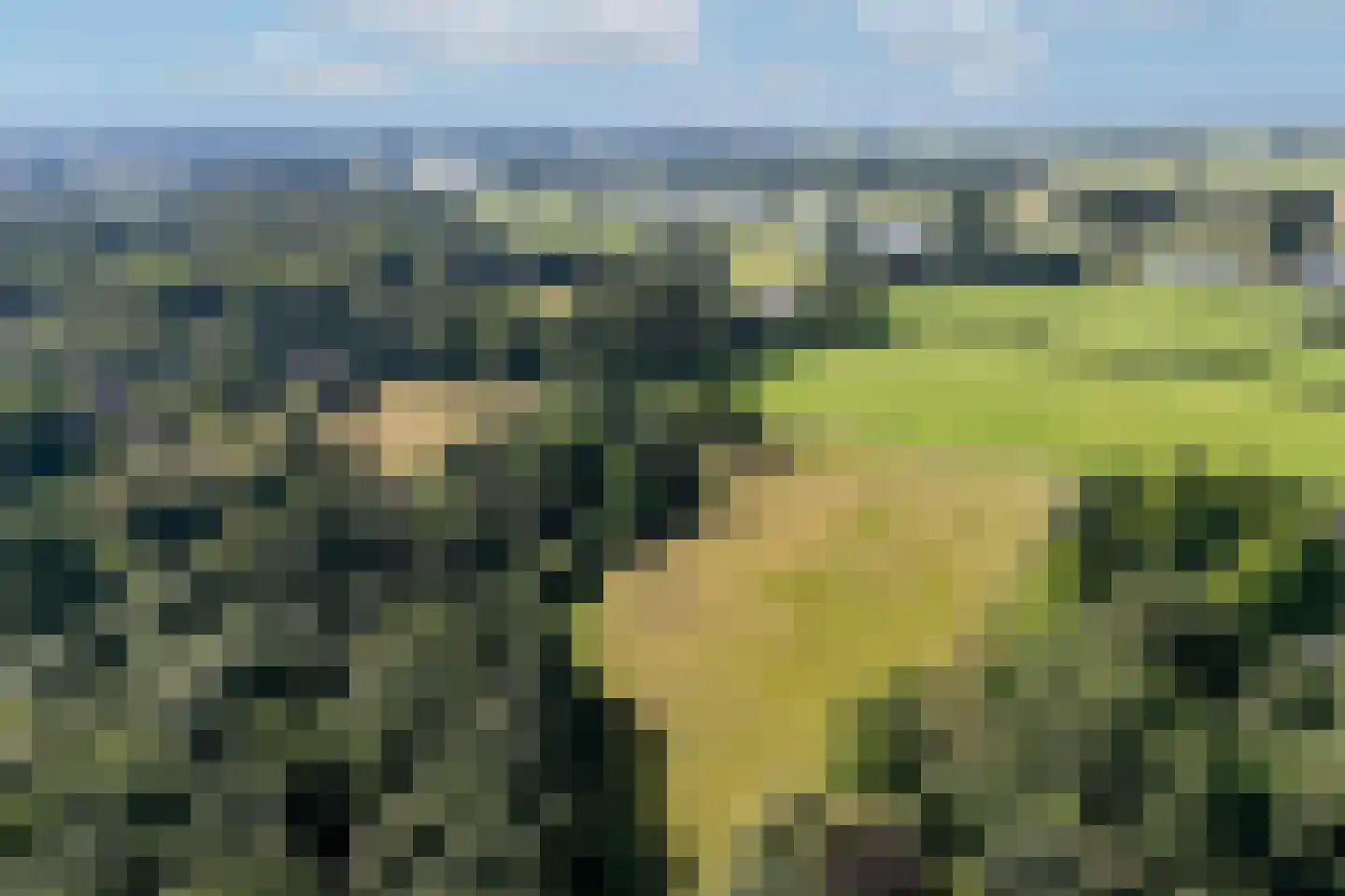 Weerdsweg 8 Epse thumbnail 41