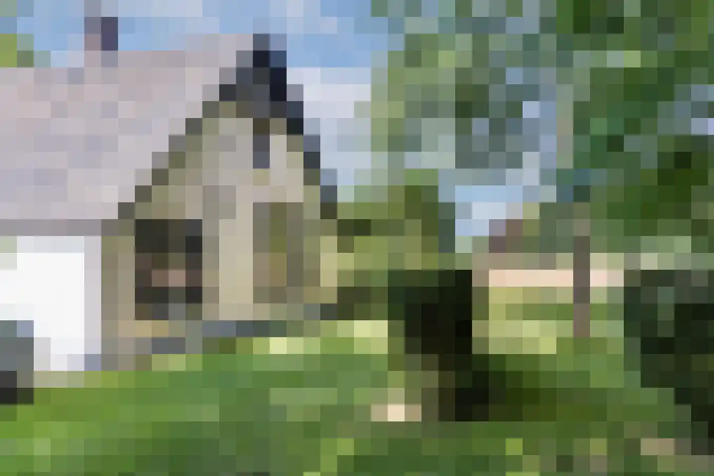 Weerdsweg 8 Epse thumbnail 6