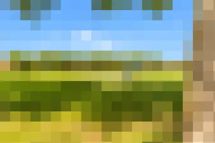 Weerelaan 16 Heerhugowaard thumbnail 32