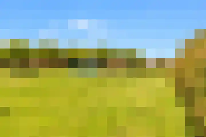 Weerelaan 16 Heerhugowaard thumbnail 33