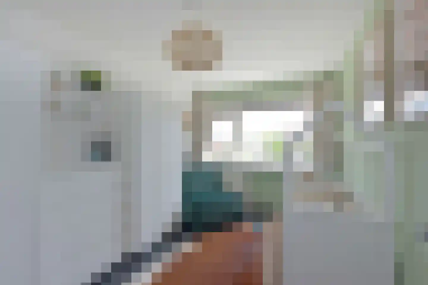 Weerenstraat 12 Ter Aar thumbnail 15