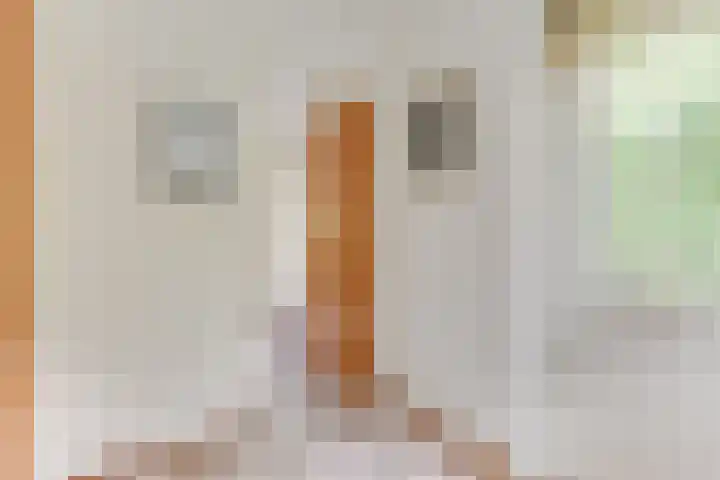 Weerepad 3 Obdam thumbnail 19